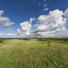 Slowinski landscape