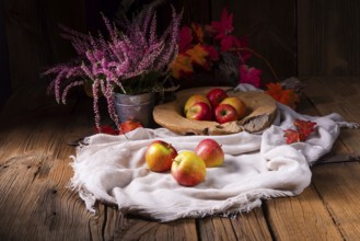 Malus sylvestris, der leckere europäische Krabbenapfel