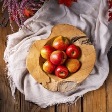 Malus sylvestris, der leckere europäische Krabbenapfel