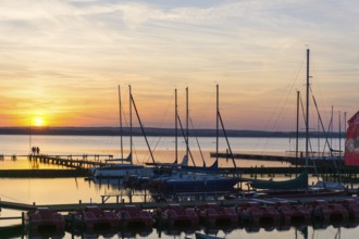 Landscape in Springtime at the Dümmer lake in Germany at sunset