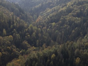 View over the Höllental nature reserve in the Franconian Forest in autumn