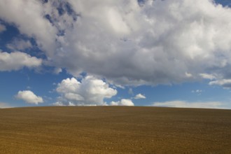 Spring cultivated field in the empty landscape after rain