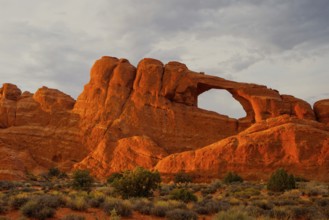 Beautiful rock formations in Arches National Park, Utah, USA, North America