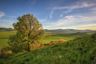Spring morning in Central Bohemian Highlands.It is a mountain range located in northern Bohemia in