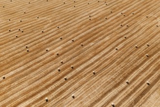 Aerial perspective view of hay bales on agricultural field after harvest. Farm landscape. Drone top