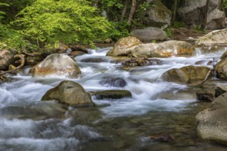 Natural monument Gaulschlucht gorge in Lana near Merano, South Tyrol
