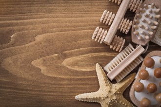 Wisp of bast back massagers starfish and brush on pine vintage board healthcare concept