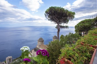 Amazing view from villa ? Rufolo on Mediterranean Sea and some old building and Pine trees (pinia)