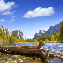 Yosemite Merced River el Capitan and Half Dome in California National Parks US