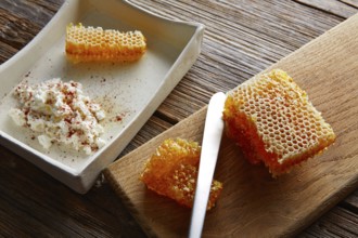Cottage cheese curd with Honey honeycomb dessert