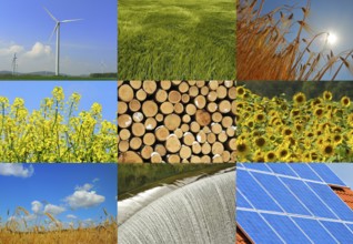 Various possibilities for the production of green electricity