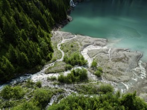 Top view of a forested landscape with winding streams leading to a lake, nature, water, ice,