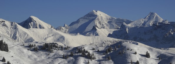 Mountain ranges of the Bernese Oberland in winter. Altels, Balmhorn and other high mountains in