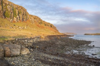 Sea Cliffs at Garafad on the Isle of Skye in Scotland