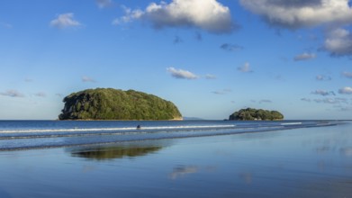 An image of Bay Of Plenty beach New Zealand