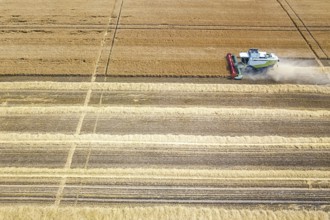 Combine harvester working on a wheat field. Combine harvester Aerial view