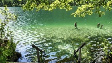Bathing jetty at Lake Thumsee near Bad Reichenhall