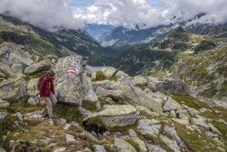 Woman hiking with her dog in the High Tauern National Park, the Austrian alps