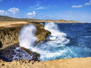 A view of Aruba's stony coast and the Caribbean Sea