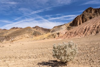 Famous Artists Palette in Death Valley National Park, USA, North America