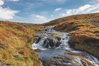 Beautiful autumn scenery. Colorful morning view of popular tourist destination in Iceland. Stunning