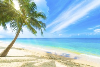 A beautiful beach on a tropical island