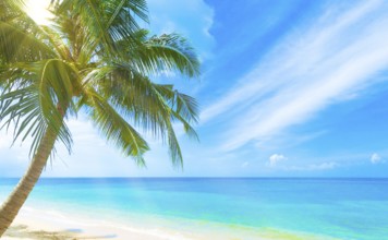 A beautiful beach on a tropical island