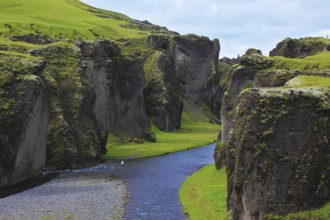 Iceland in the summer. Canyon Fjadrargljufur and cold fast river with a pebble bottom