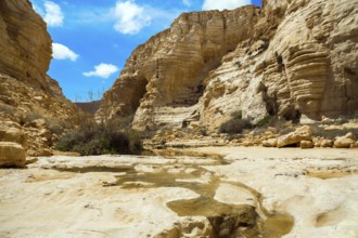 Beginning of a route. The concept of photo tourism. The magnificent gorge Ein Avdat is the most
