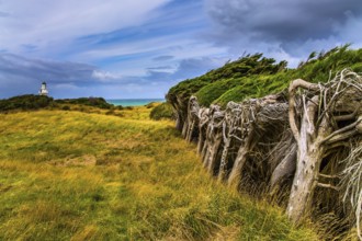 Great trip to New Zealand. Scenic South Island on a cloudy windy day. Frequent hurricane wind from
