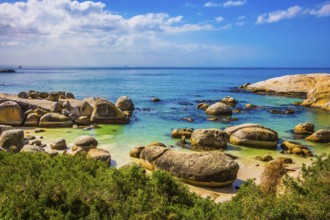 Huge boulders on the beach of the Atlantic Ocean. Boulders Penguin Colony in the Table Mountain