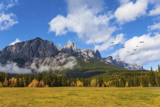 The city of Canmore is surrounded by the Rocky Mountains. Huge Andean condors flock flies over the