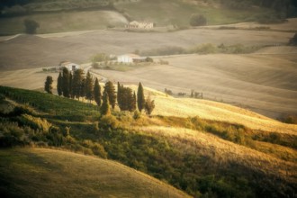 An image of a Tuscany landscape in Italy
