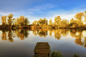 A view of a jetty in the lake at sunrise in the forest with fall colors