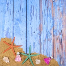 Beach poster on wooden background with starfishes and shells