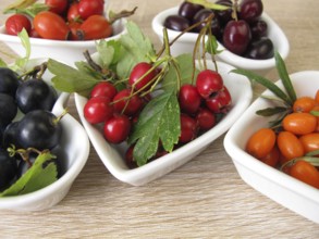 Wild fruits in autumn with cornelian cherries, sea buckthorn, rose hips, sloes and hawthorn