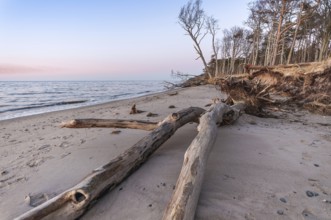 West coast on the Darß