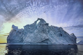 Large glaciers in the bay by the rocky shore in the light of the setting sun
