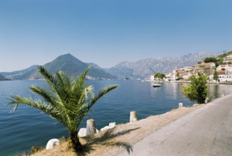Ancient buildings of Perast on the embankment at the foot of the mountains.