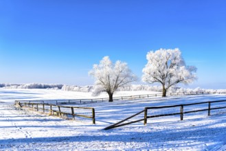 Snow-covered landscape in winter in Masuria in eastern Poland