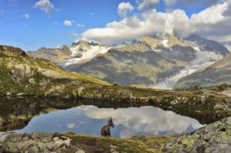Beautiful unspoilt nature, a wonderful destination for vacation and relaxation