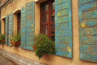 Windows of antique house decorated with flowers