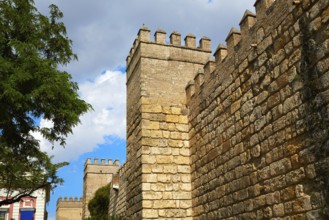 Seville Real Alcazar fortress wall Sevilla Andalusia Spain