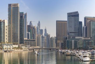 A picture of the Dubai Marina buindings