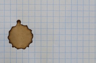 Checkered sheet of paper from a notebook and coffee stain