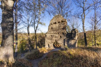 Stecklenburg castle ruins, Harz district