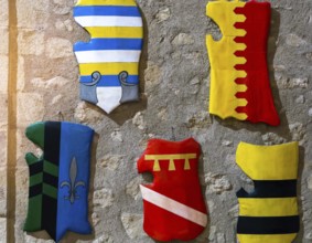 The medieval shields inside an ancient castle