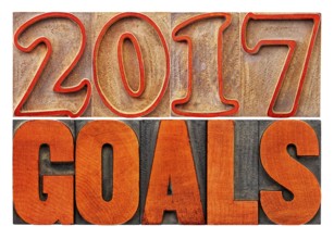 2017 goals banner - New Year resolution concept - isolated text in vintage letterpress wood type