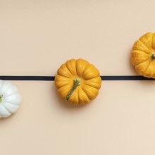 Creative Top view flat lay autumn composition. Frame concept pumpkins color paper background copy