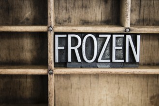 The word FROZEN written in vintage metal letterpress type in a wooden drawer with dividers